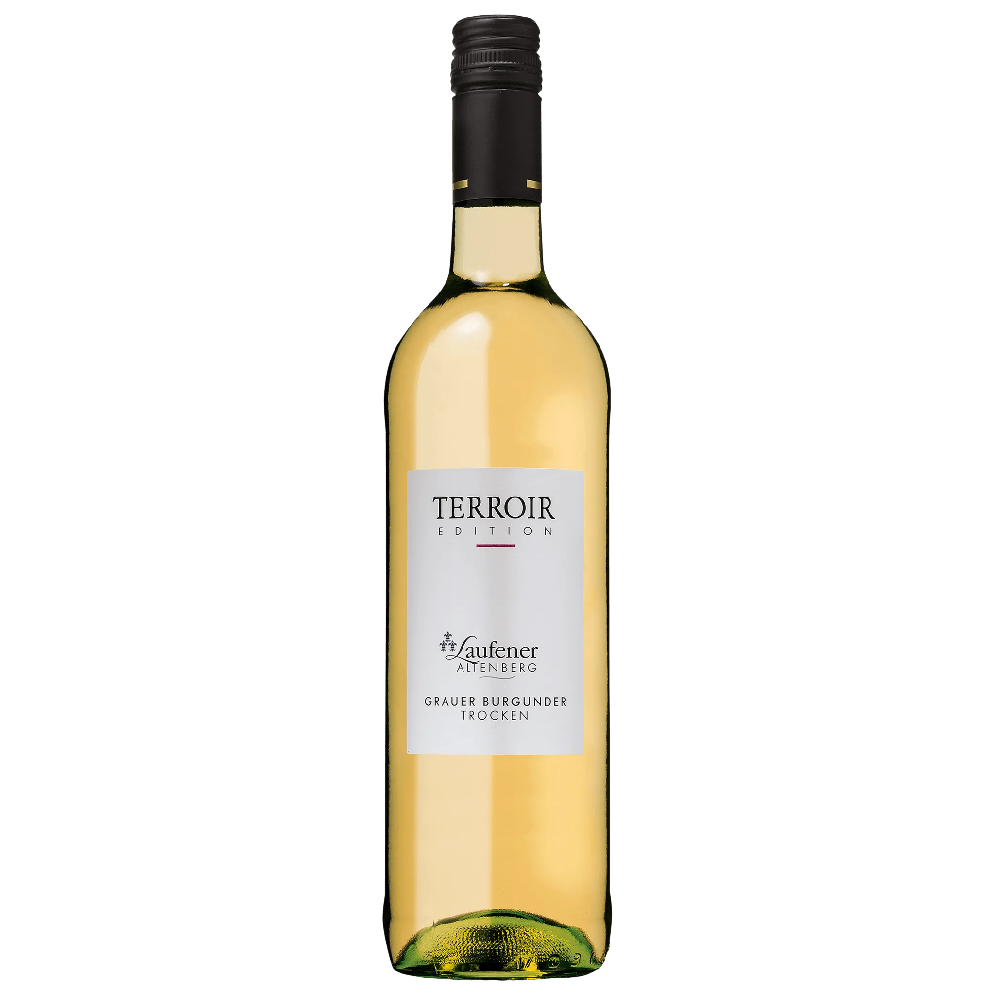 2023 Grauer Burgunder Qualitätswein trocken EDITION "Terroir"