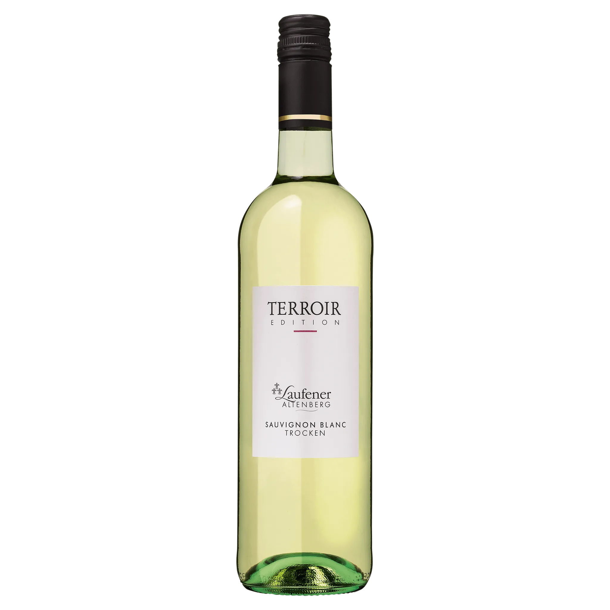 2023 Sauvignon Blanc Qualitätswein trocken EDITION "Terroir"