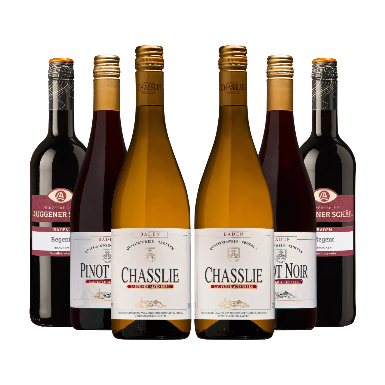 Sechs Qualitätsweinflaschen aus Baden: Zwei goldene Chasslie Weißweine und vier dunkle Rotweine (Pinot Noir, Regent) vom Laufener Altenberg. Eine ansprechende Auswahl.
