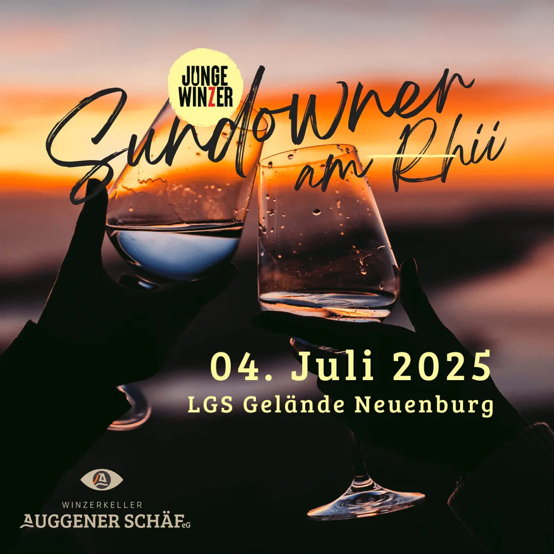 Sundowner am Rhii (04.07.2025)