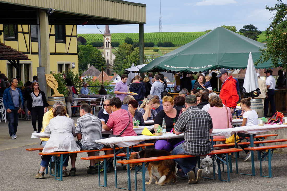 Wein, Essen und LAUFEN - 15.08 und 16.08