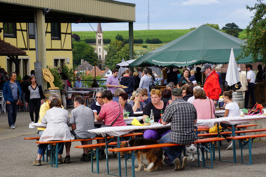 Wein, Essen und LAUFEN - 15.08 und 16.08