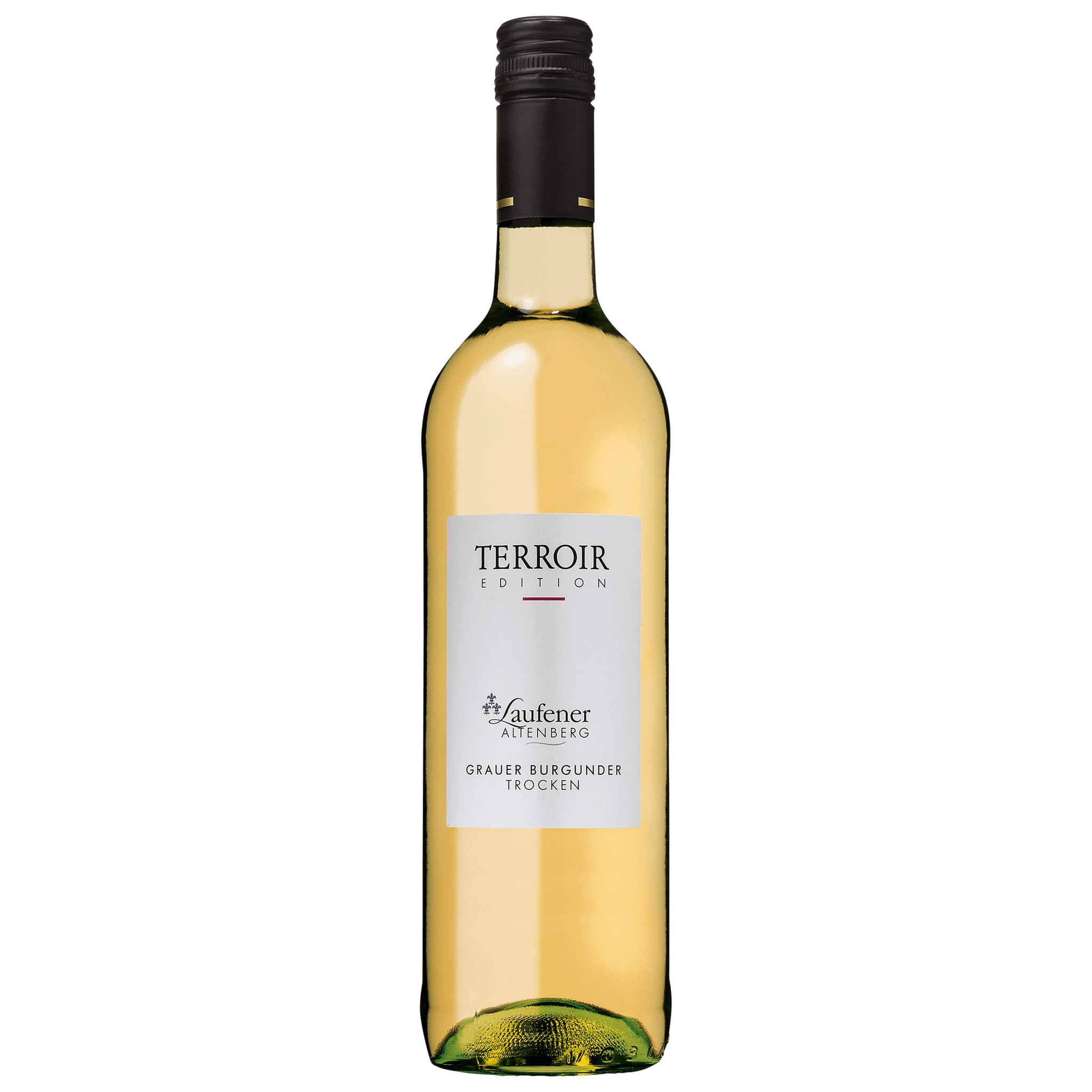 2022 Grauer Burgunder Qualitätswein trocken EDITION "Terroir" - Winzerkeller Auggener Schäf eG
