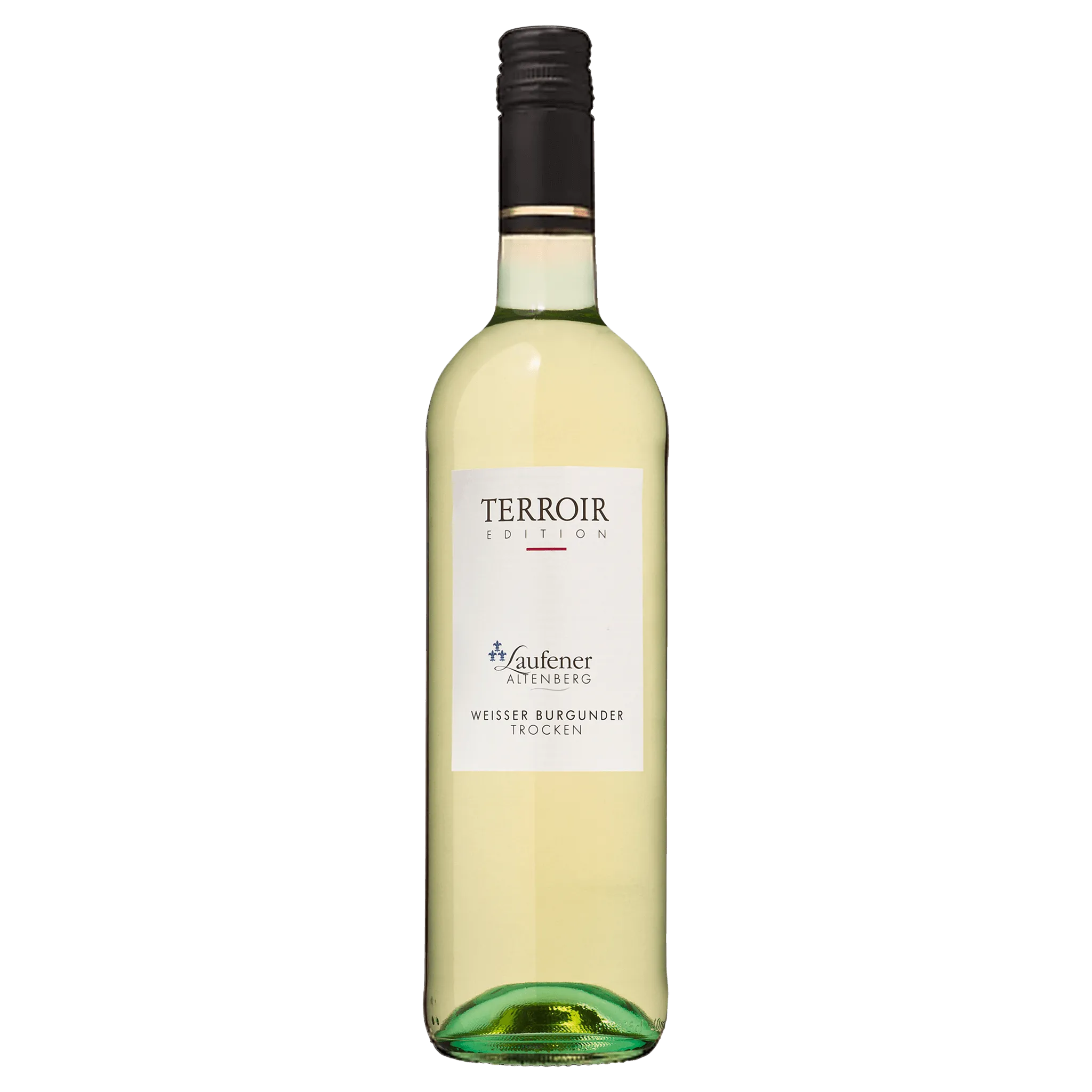 2023 Weißer Burgunder Qualitätswein trocken EDITION "Terroir"