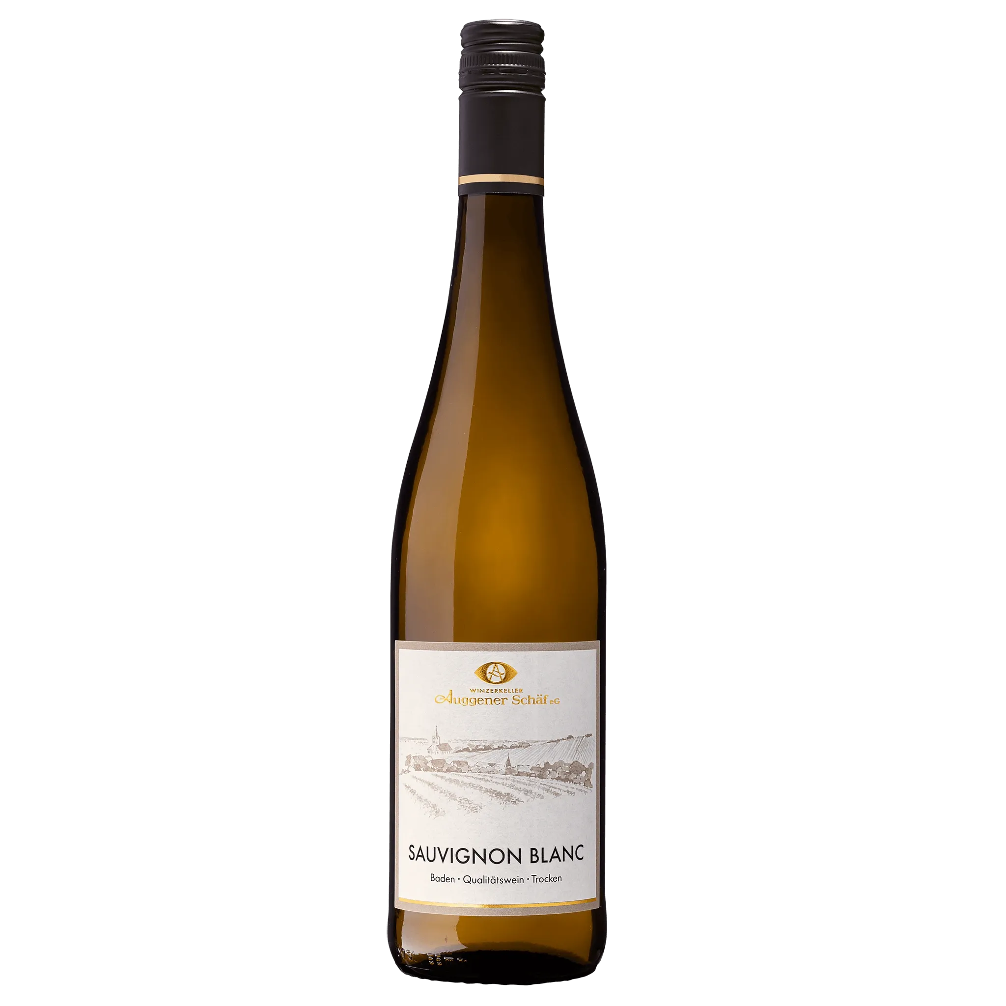 sauvignon-blanc-qualitätswein-trocken-2024-ambiente