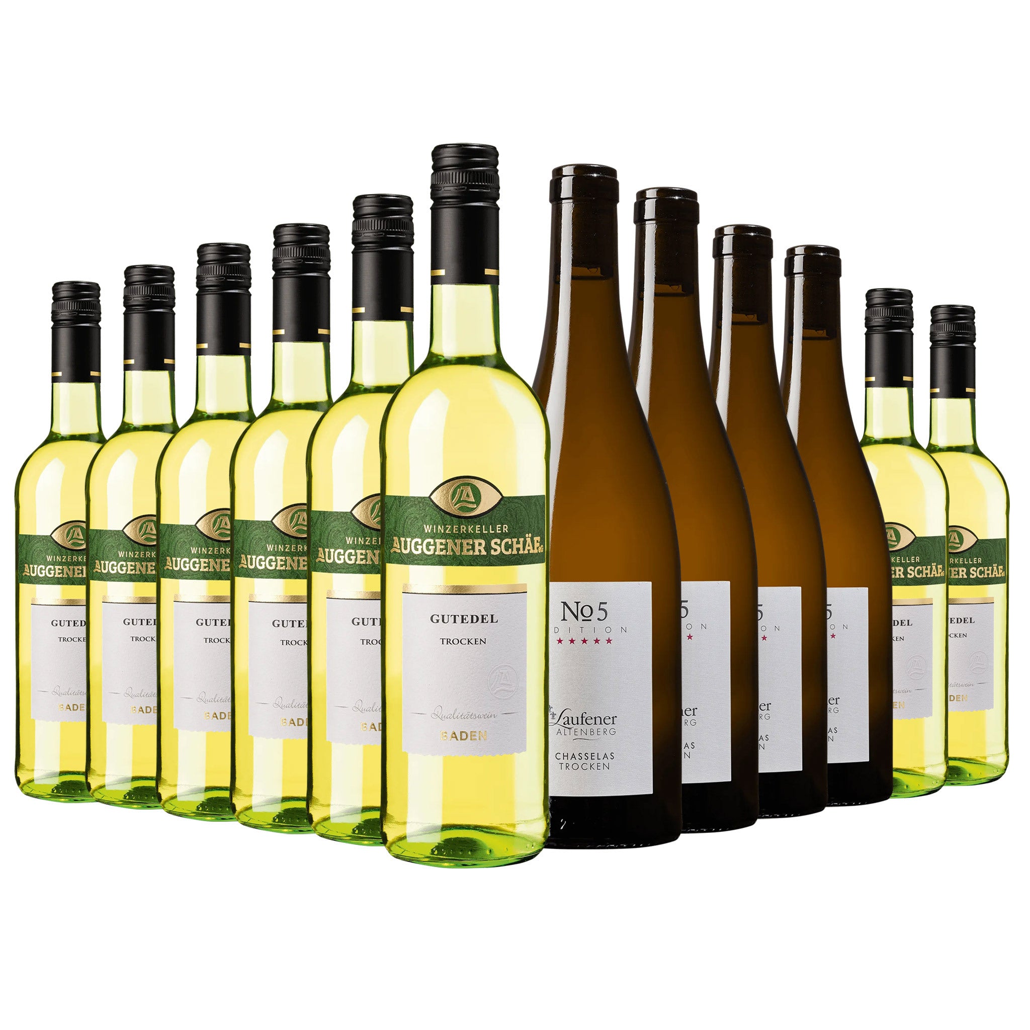 Reihe von Weißweinflaschen: hellgrüne Gutedel Trocken Weine vom Winzerkeller Auggener Schäf mit grünen Etiketten und dunkle Chasselas Trocken No 5 Edition Weine aus Laufener Altenberg. Eine vielfältige Weinauswahl aus Baden.
